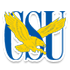 自由大学